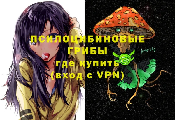 марки nbome Белокуриха