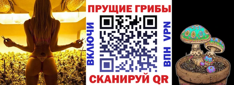 Псилоцибиновые грибы мухоморы  Светлогорск 