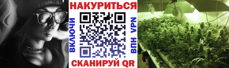 дарнет шоп  Светлогорск  Шишки марихуана план 